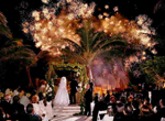 Свадебная церемония, парковый фейерверк